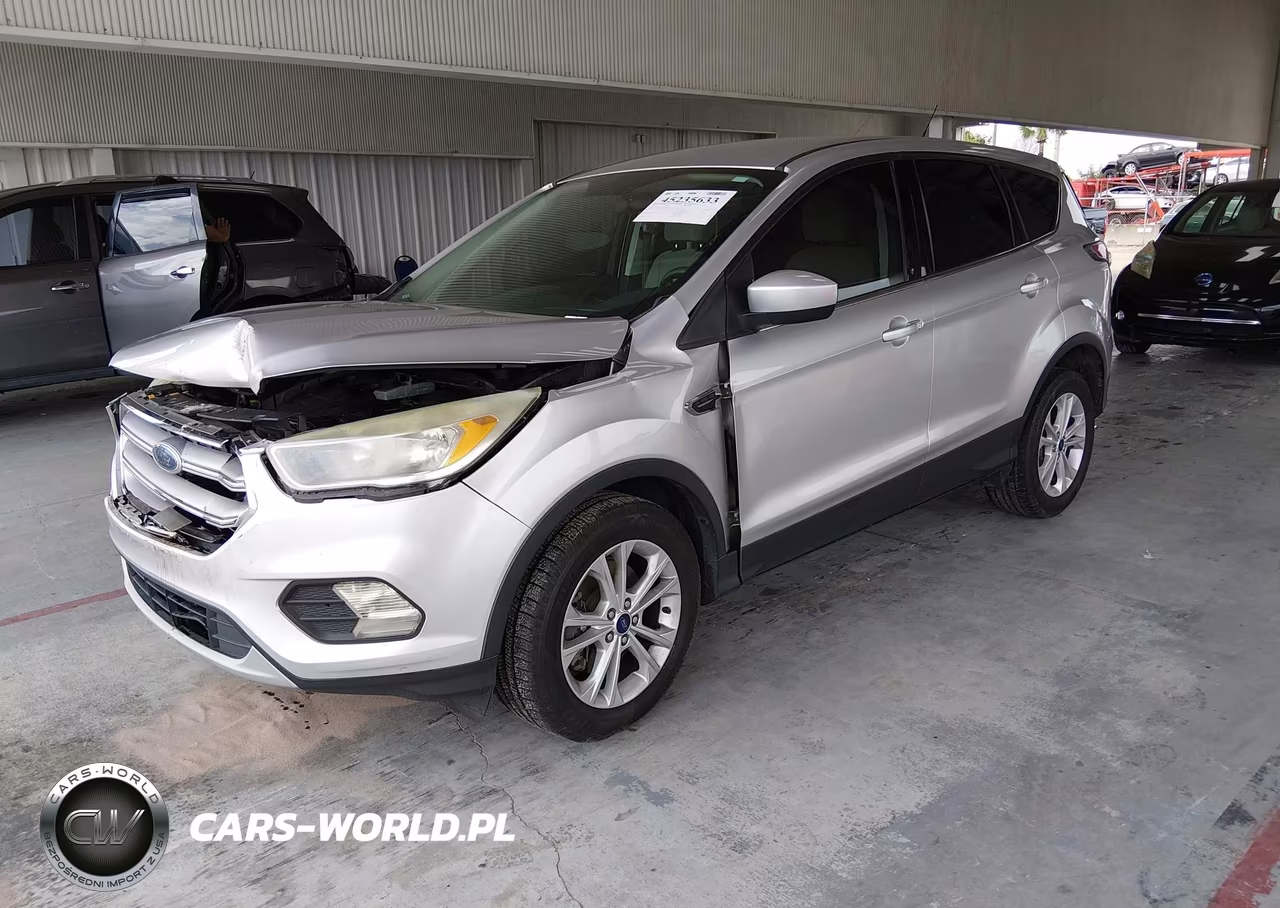 2017 Ford Escape Se VIN:1FMCU0G96HUA46101 - 2