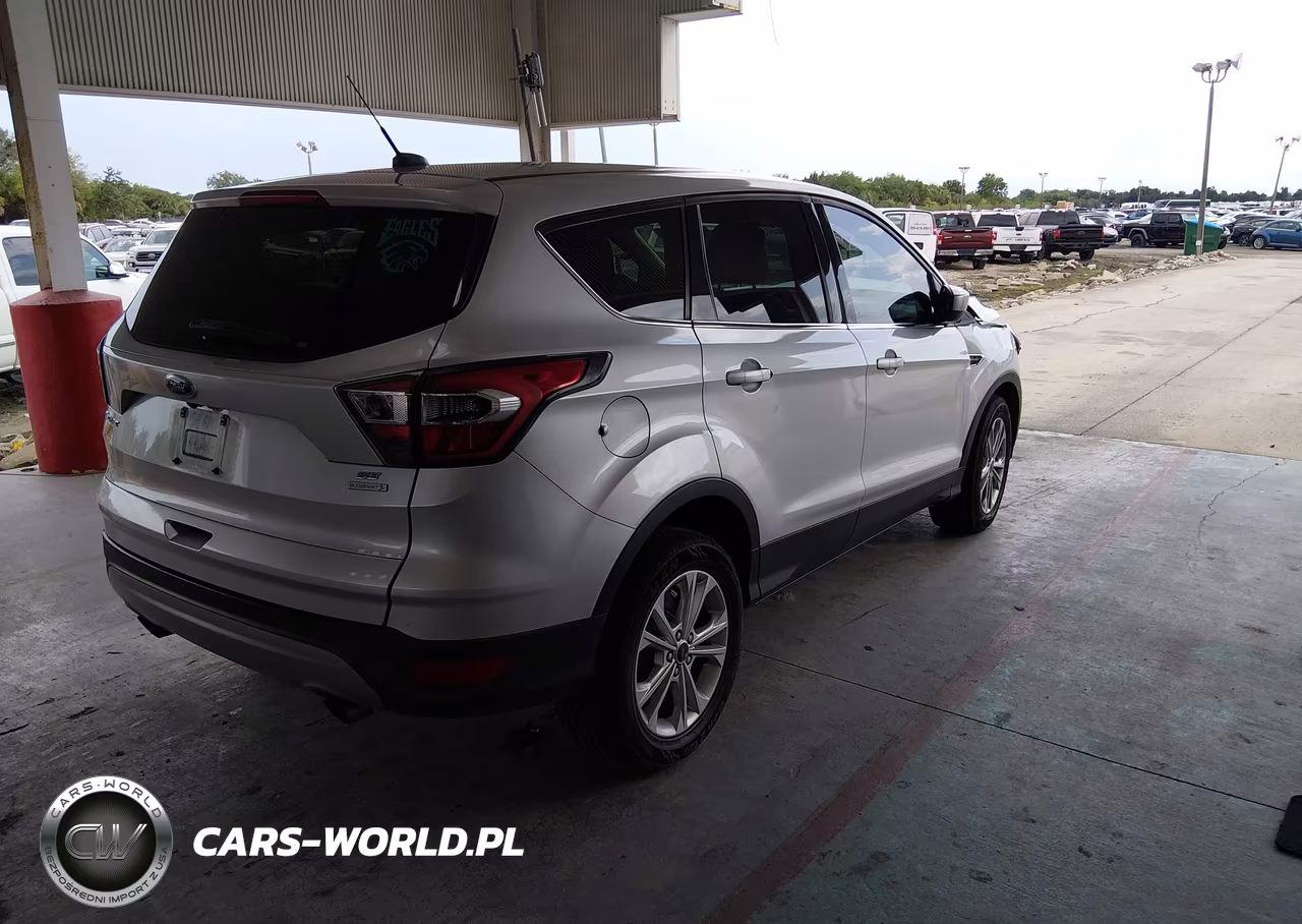 2017 Ford Escape Se VIN:1FMCU0G96HUA46101 - 4