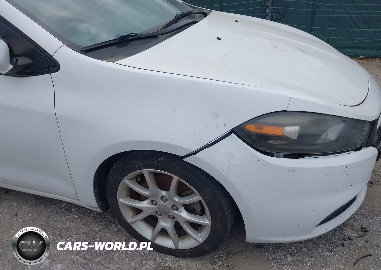 2013 Dodge Dart Rallye VIN:1C3CDFBH0DD226114 - 13