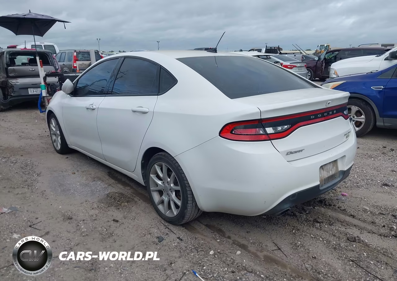 2013 Dodge Dart Rallye VIN:1C3CDFBH0DD226114 - 3