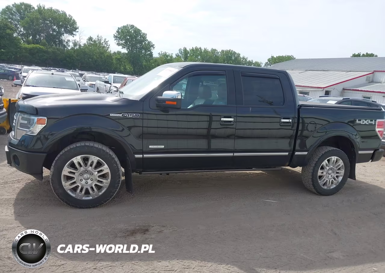 2013 Ford F-150 Platinum VIN:1FTFW1ET1DFB03285 - 14