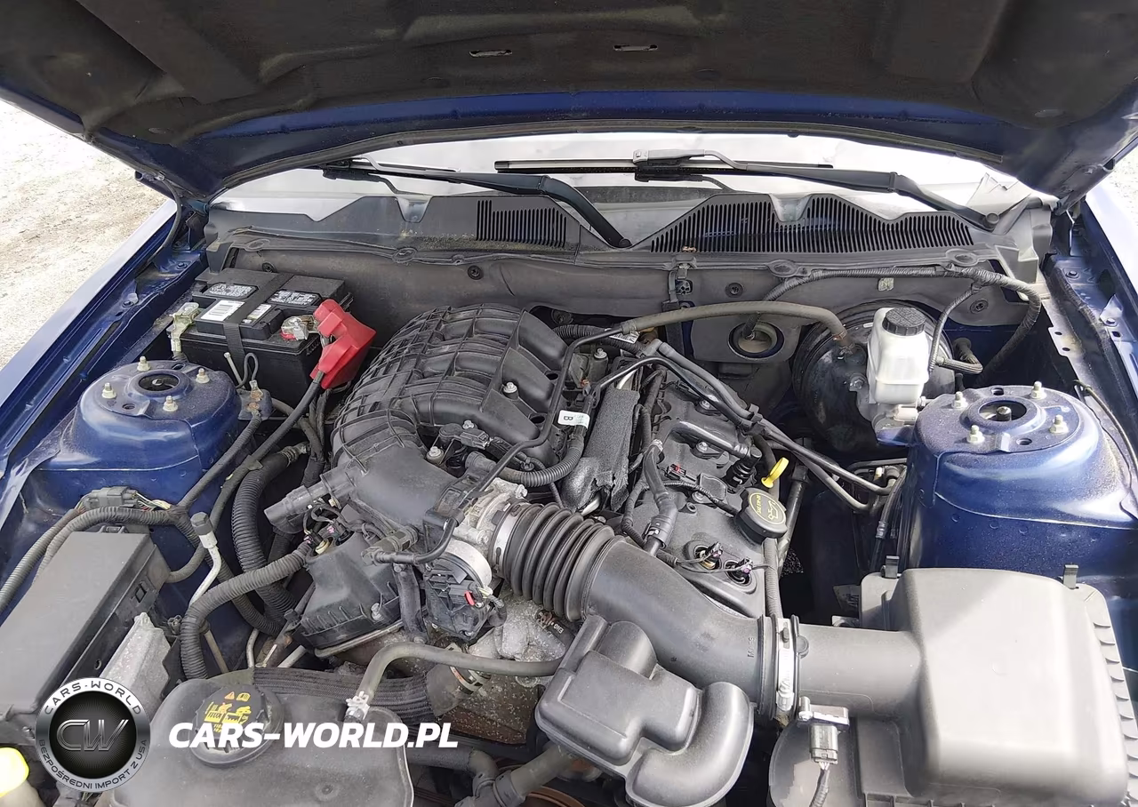 2014 Ford Mustang V6 VIN:1ZVBP8AMXE5276276 - 10