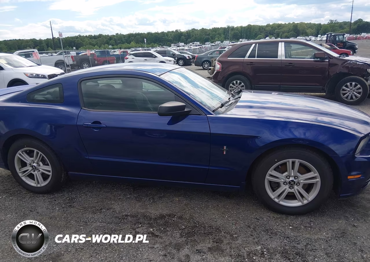 2014 Ford Mustang V6 VIN:1ZVBP8AMXE5276276 - 13