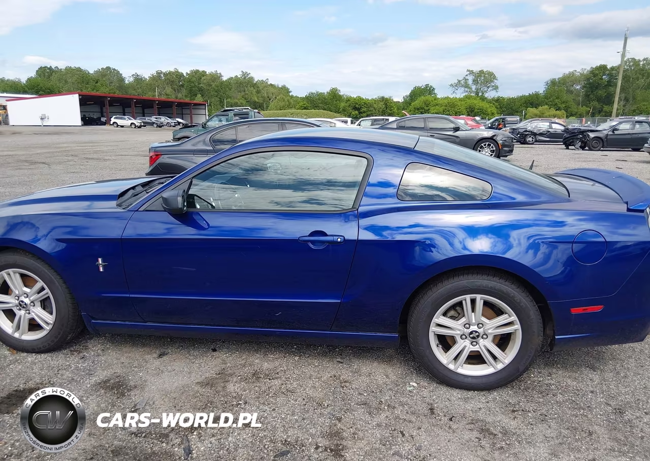 2014 Ford Mustang V6 VIN:1ZVBP8AMXE5276276 - 14