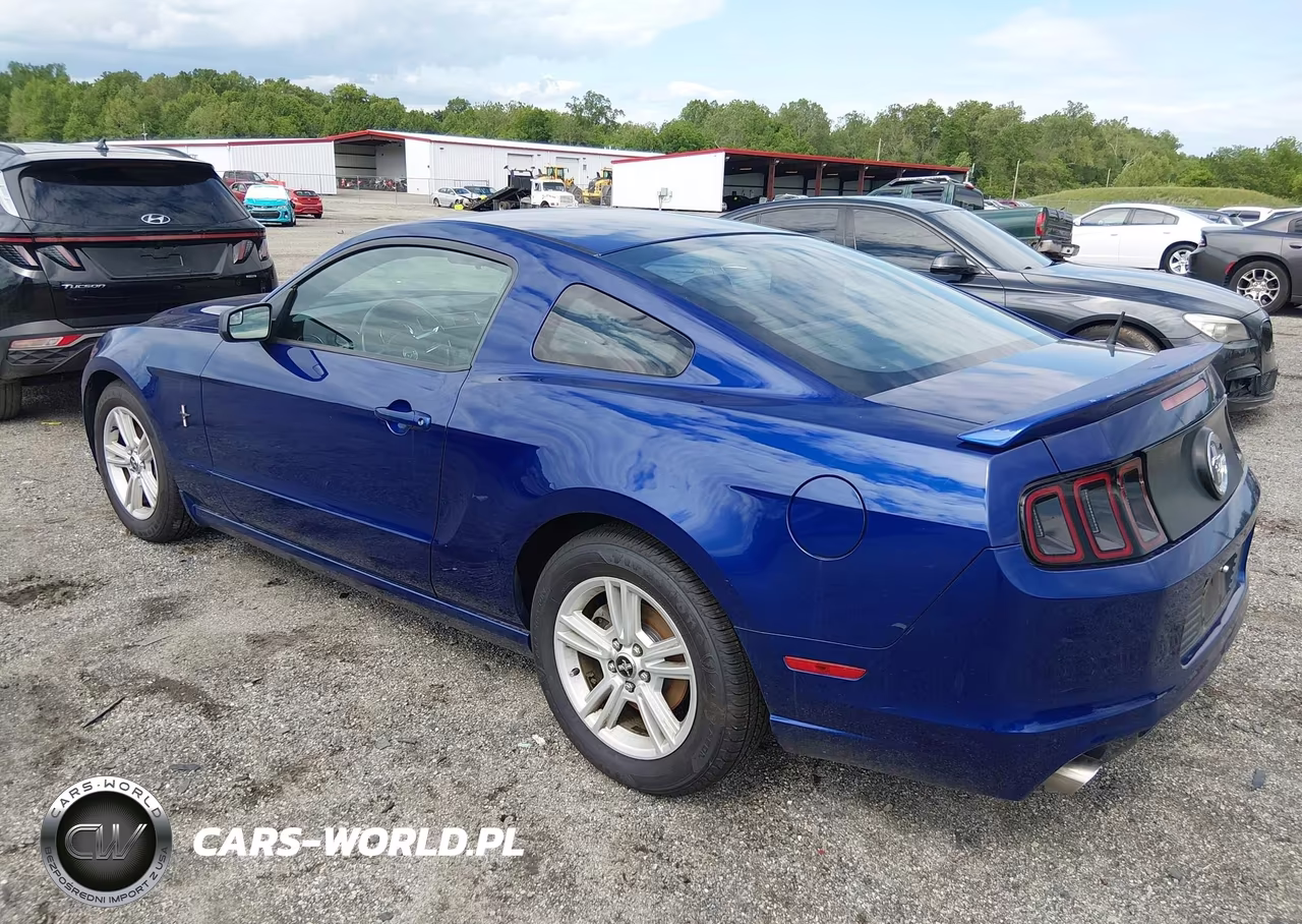 2014 Ford Mustang V6 VIN:1ZVBP8AMXE5276276 - 3