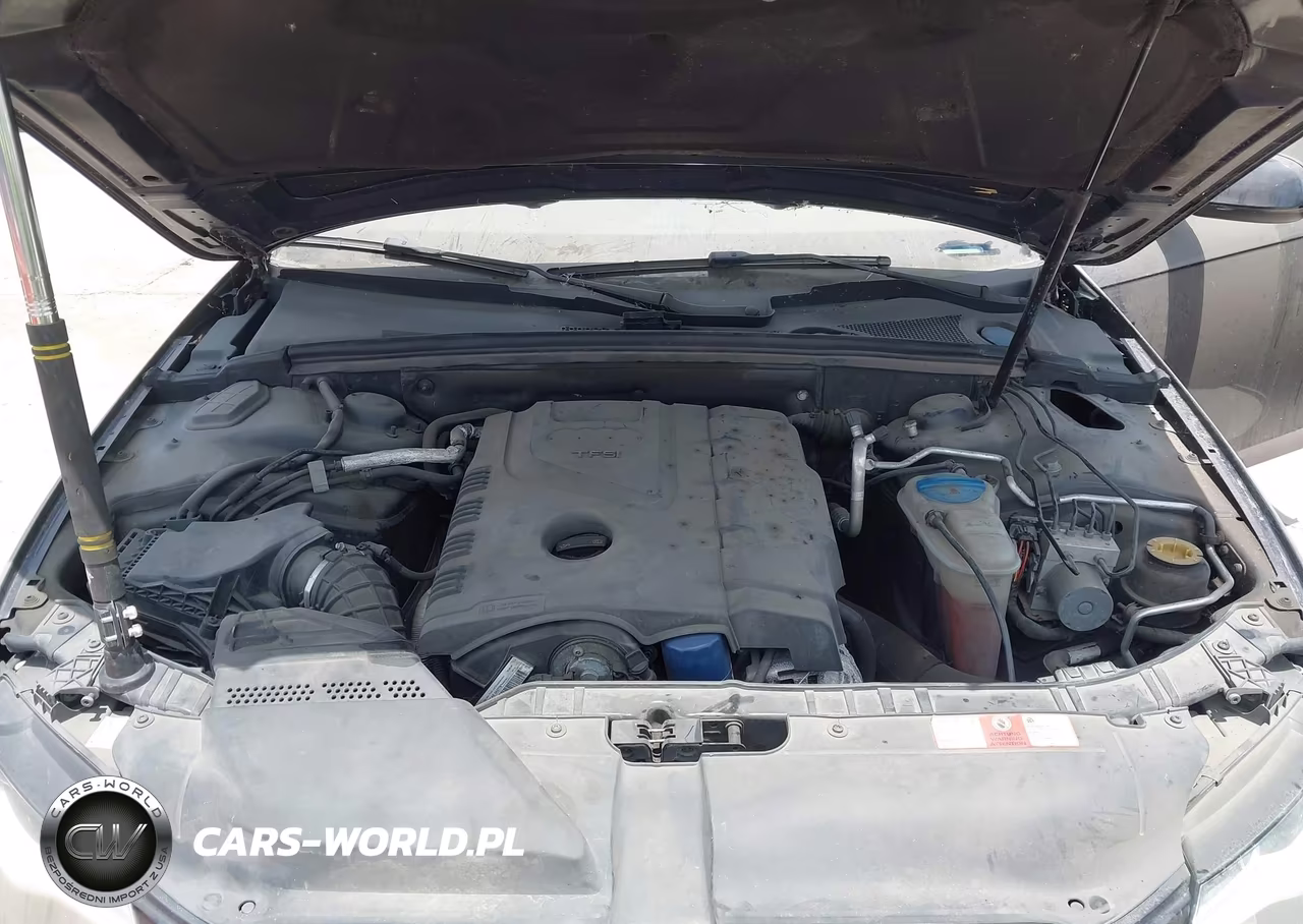 2010 Audi A4 2.0T Premium VIN:WAUFFAFL0AN008407 - 10