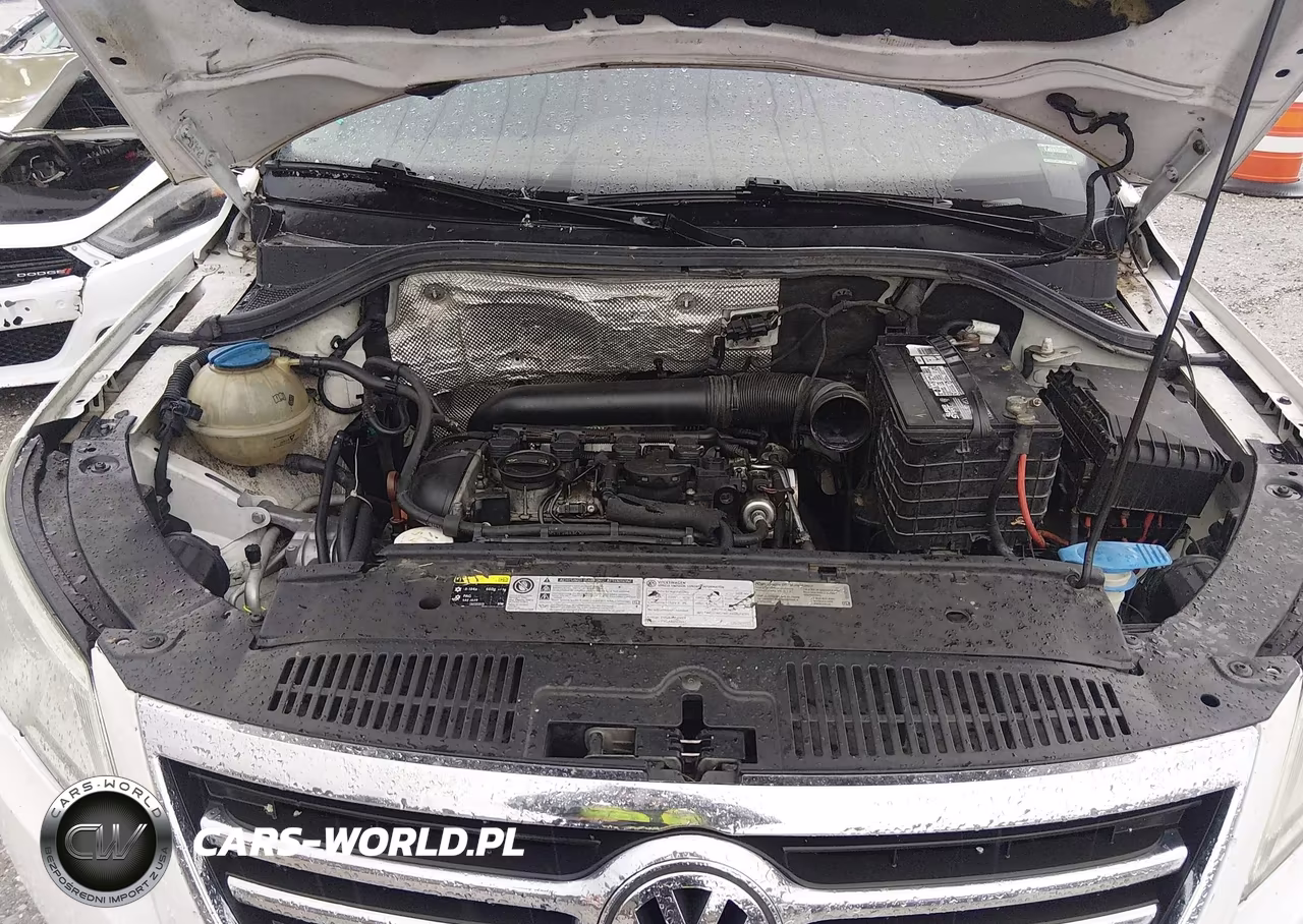 2011 Volkswagen Tiguan Se VIN:WVGAV7AXXBW524469 - 10