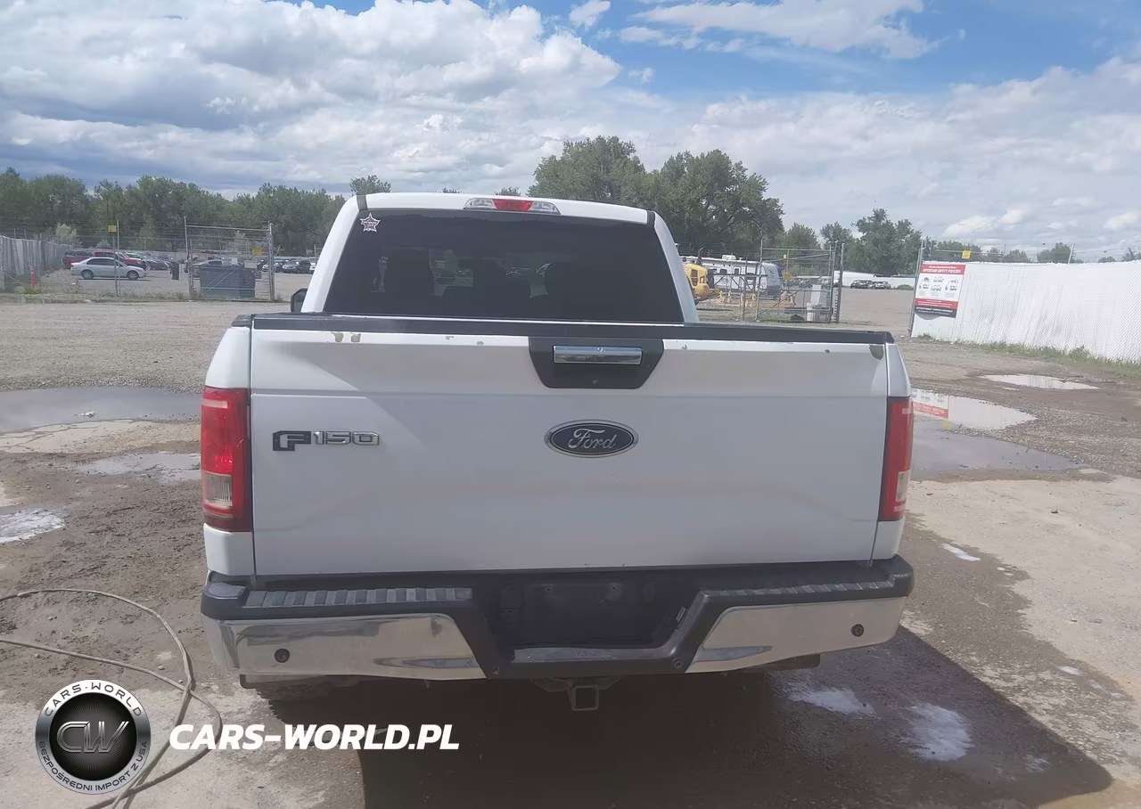 2017 Ford F-150 Xlt VIN:1FTEW1EG5HKD03579 - 17