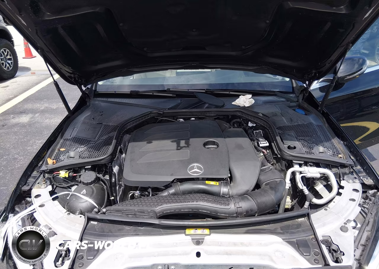2020 Mercedes-Benz C 300 VIN:55SWF8DB7LU323100 - 10