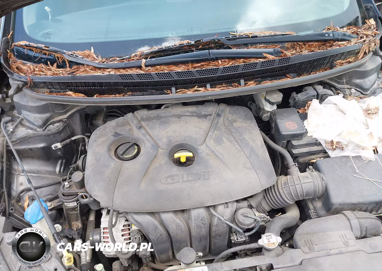 2014 Kia Forte Ex VIN:KNAFX4A85E5218461 - 10