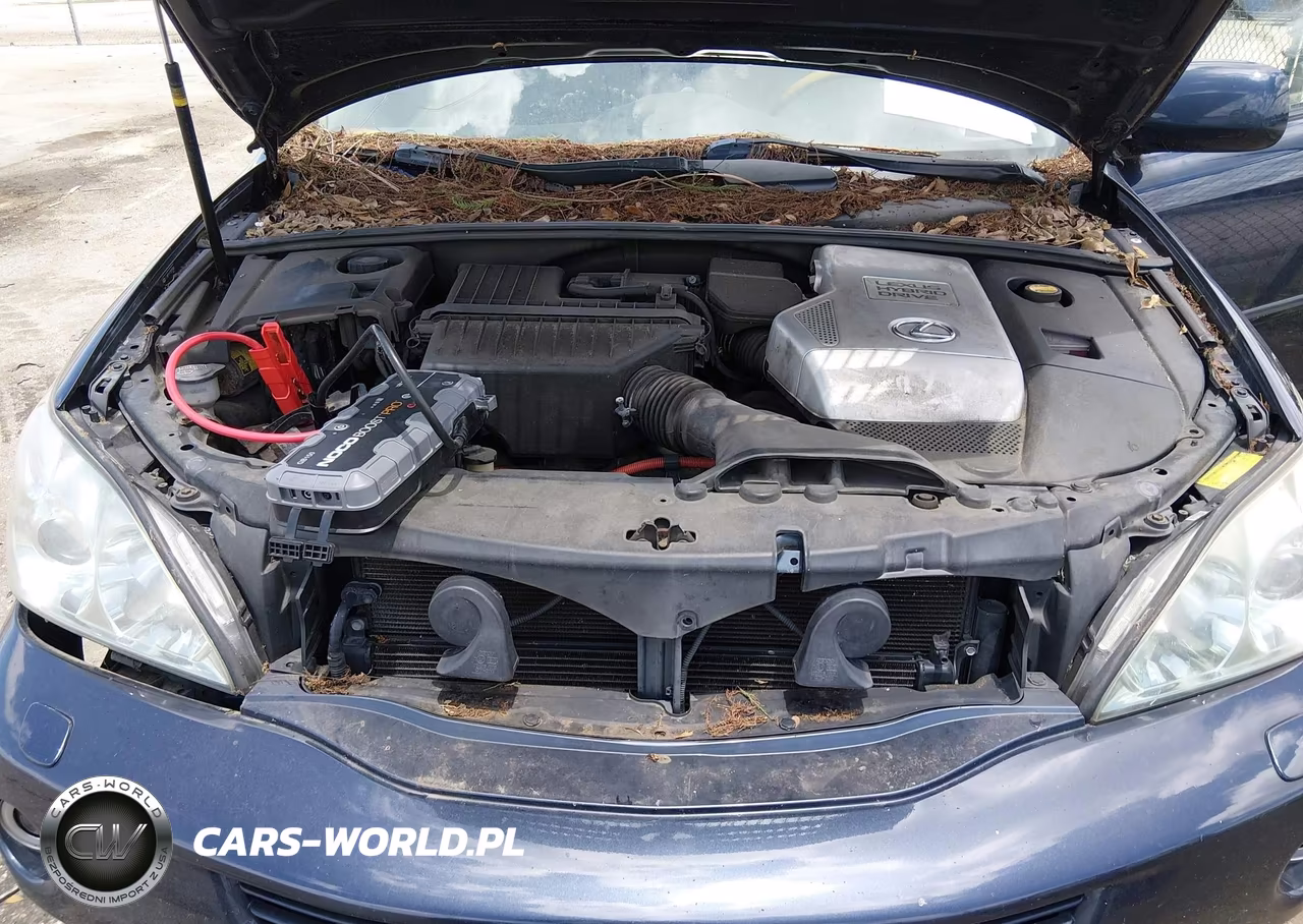 2007 Lexus Rx 400H VIN:JTJHW31U172033346 - 10