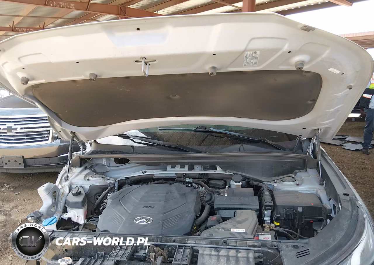 2021 Hyundai Palisade Calligraphy VIN:KM8R7DHE3MU264219 - 10