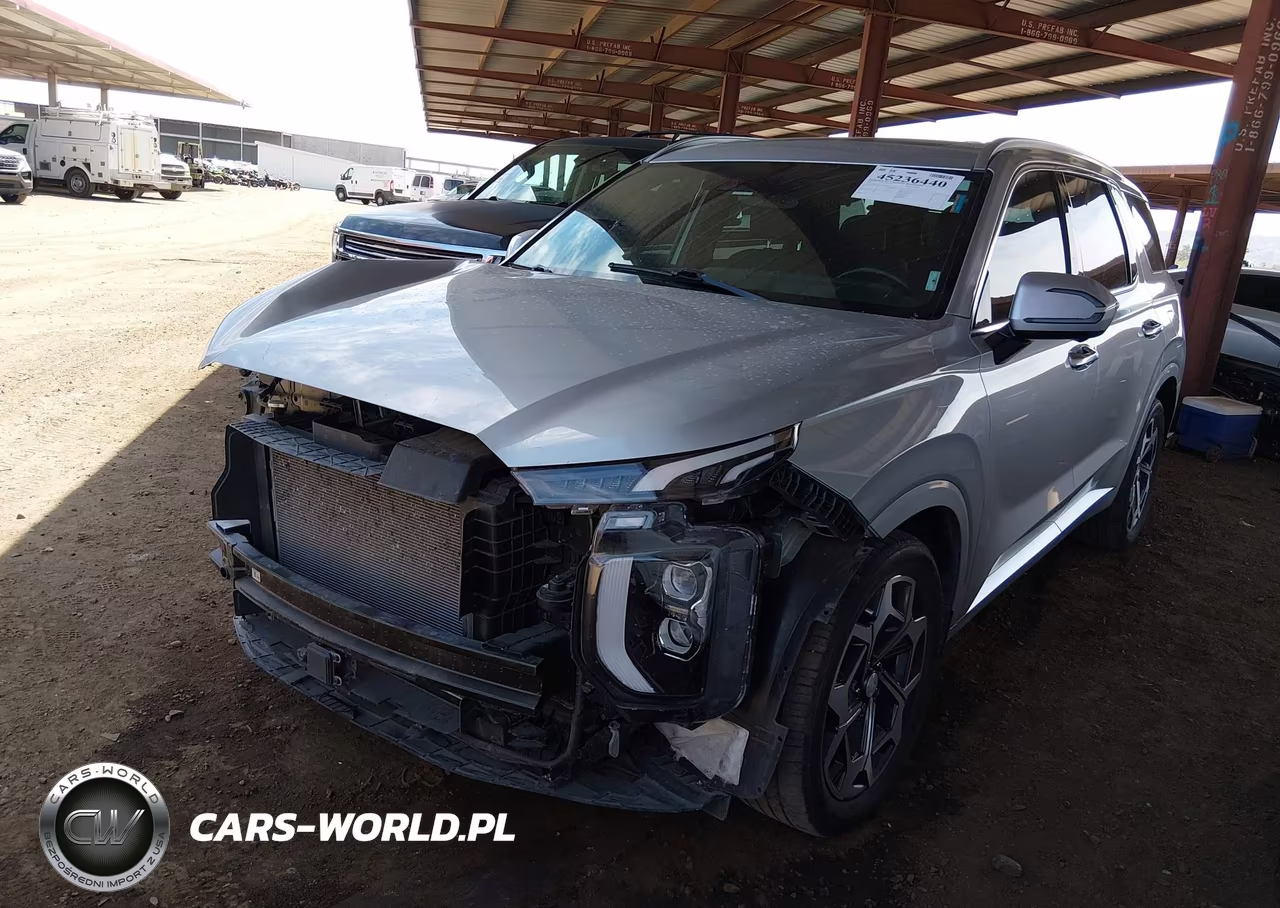 2021 Hyundai Palisade Calligraphy VIN:KM8R7DHE3MU264219 - 2