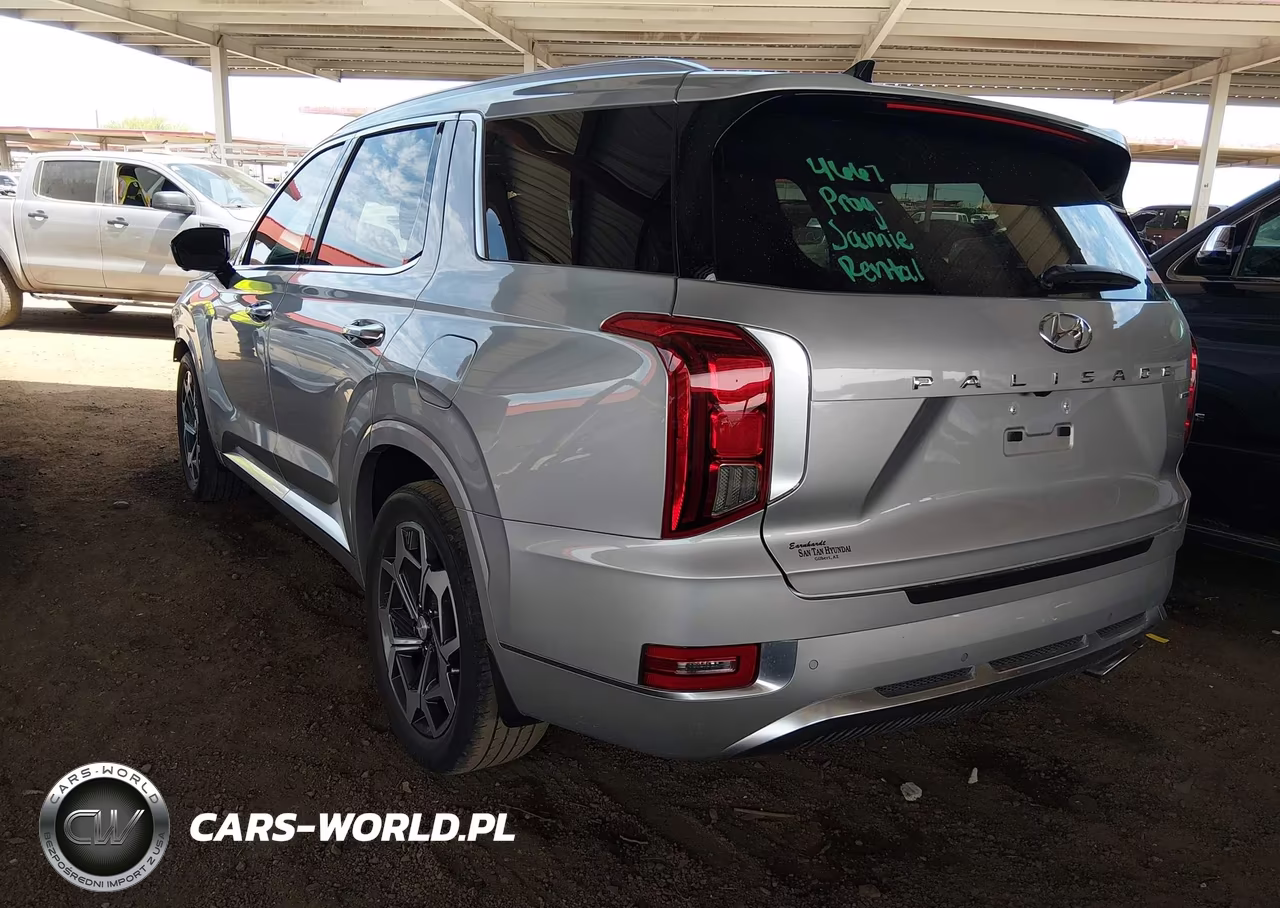 2021 Hyundai Palisade Calligraphy VIN:KM8R7DHE3MU264219 - 3