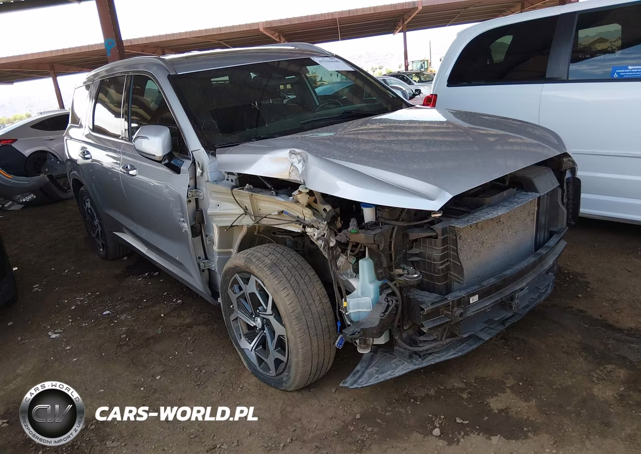 2021 Hyundai Palisade Calligraphy VIN:KM8R7DHE3MU264219 - 6