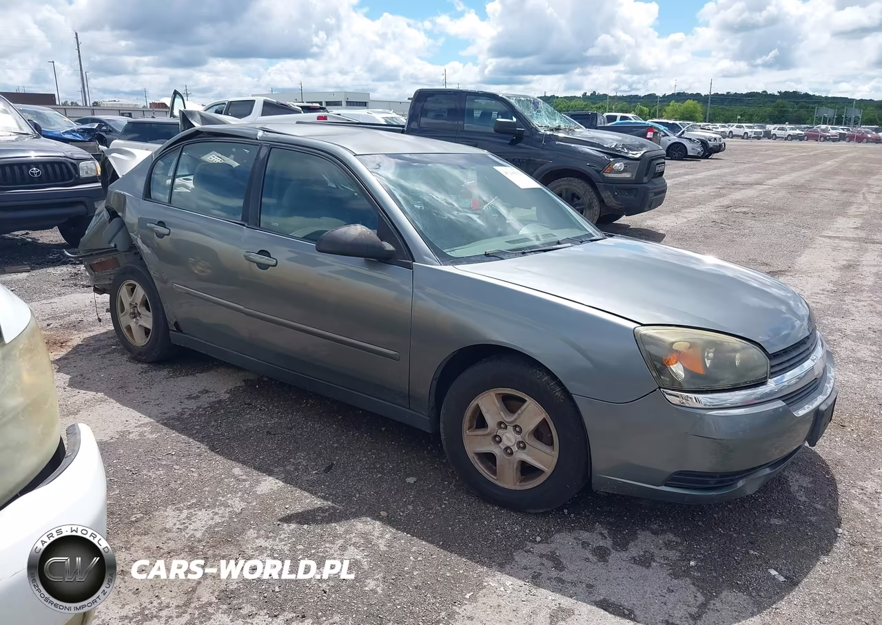 2004 Chevrolet Malibu Ls VIN:1G1ZT52864F115437 - 12