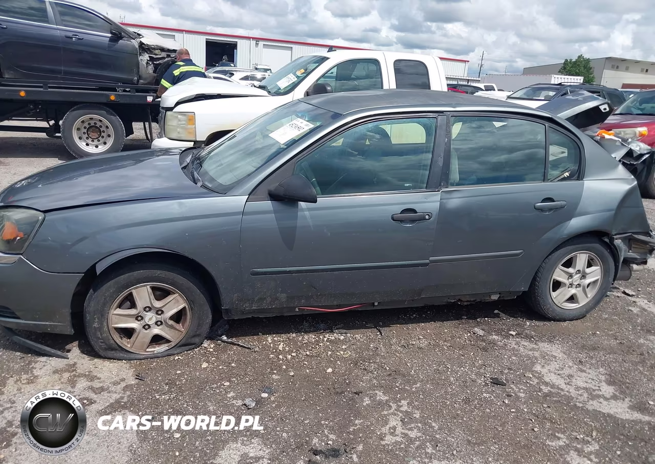 2004 Chevrolet Malibu Ls VIN:1G1ZT52864F115437 - 13