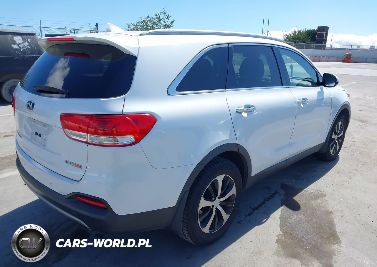 2016 Kia Sorento 2.0T Ex VIN:5XYPH4A16GG019386 - 4