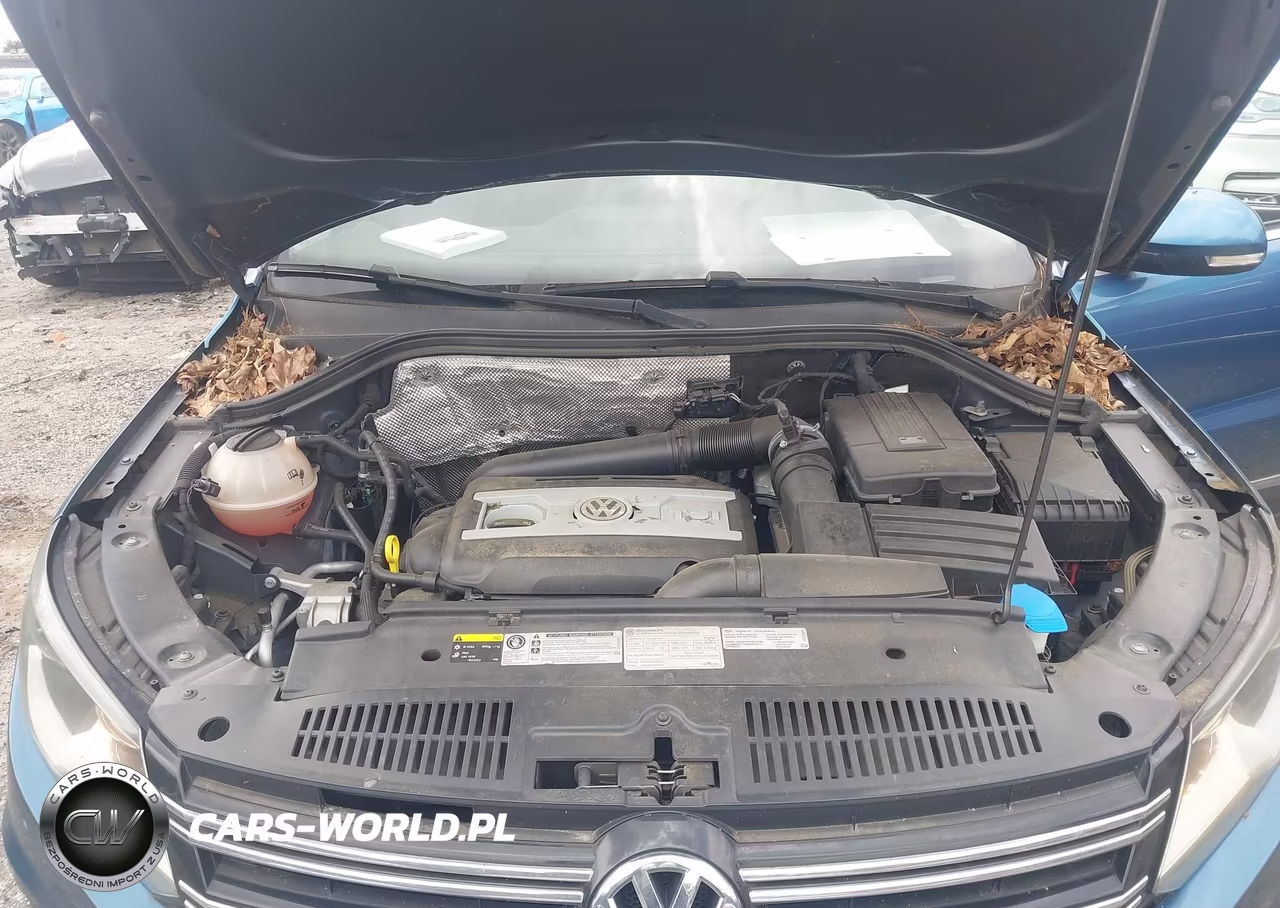 2017 Volkswagen Tiguan 2.0T Wolfsburg Edition VIN:WVGRV7AX6HW506594 - 10