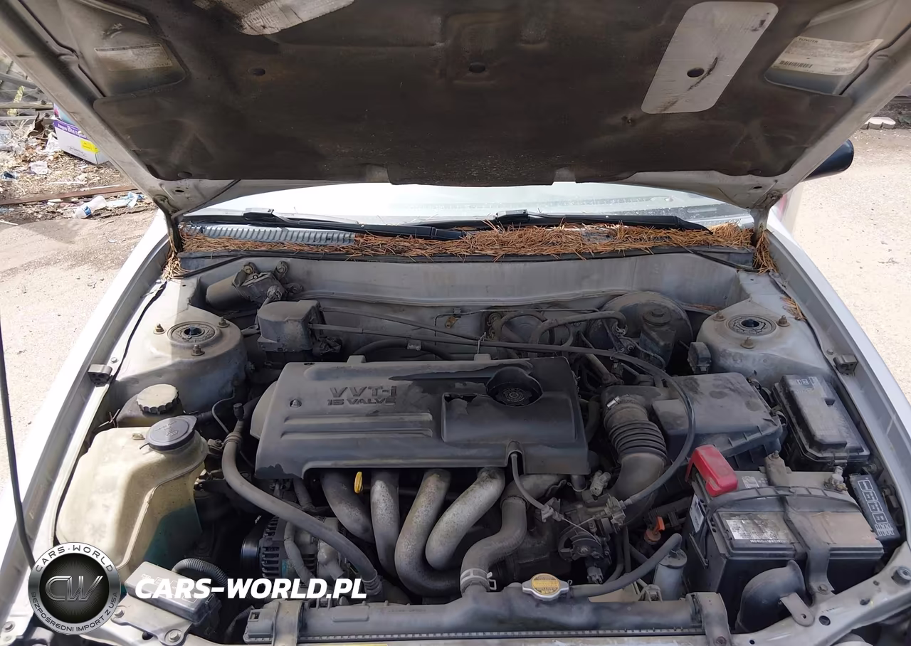 2000 Toyota Corolla Ce VIN:2T1BR12E7YC359750 - 10