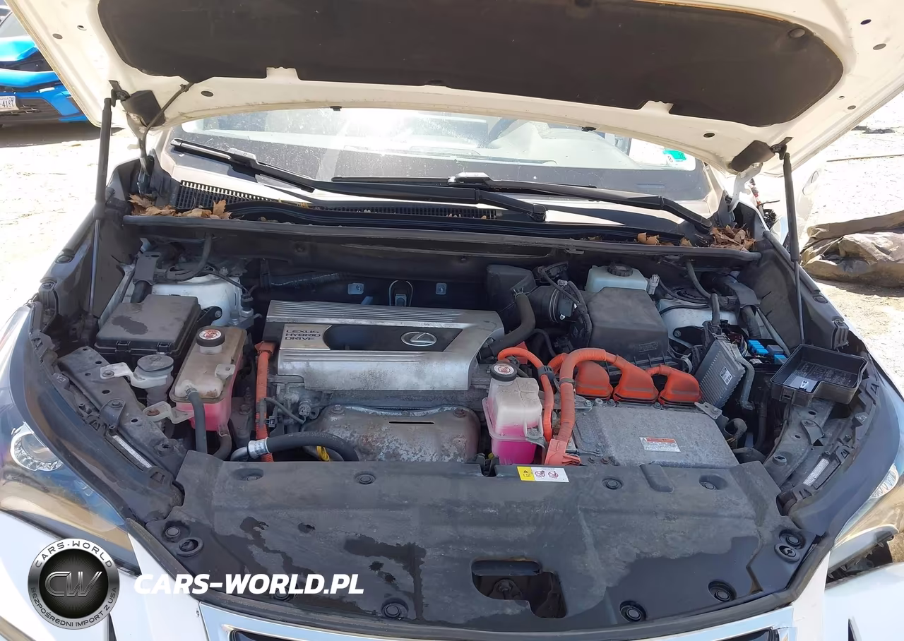 2018 Lexus Nx 300H VIN:JTJBJRBZ3J2090687 - 10