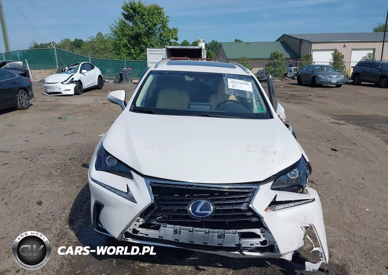 2018 Lexus Nx 300H VIN:JTJBJRBZ3J2090687 - 13