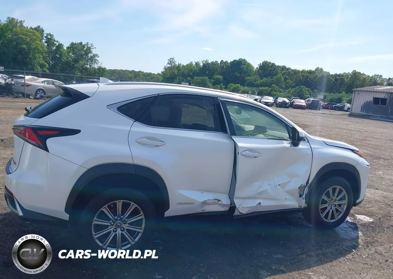 2018 Lexus Nx 300H VIN:JTJBJRBZ3J2090687 - 14