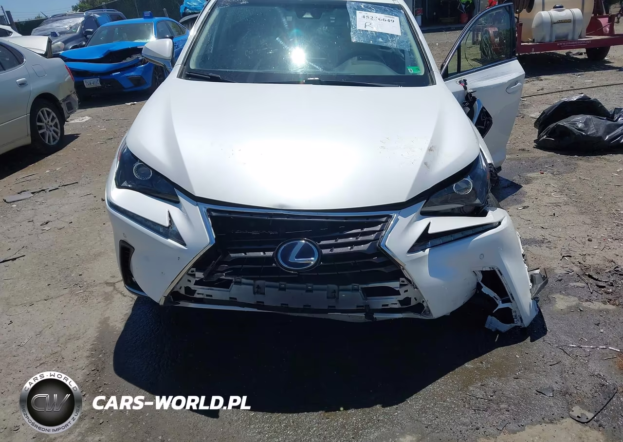 2018 Lexus Nx 300H VIN:JTJBJRBZ3J2090687 - 18