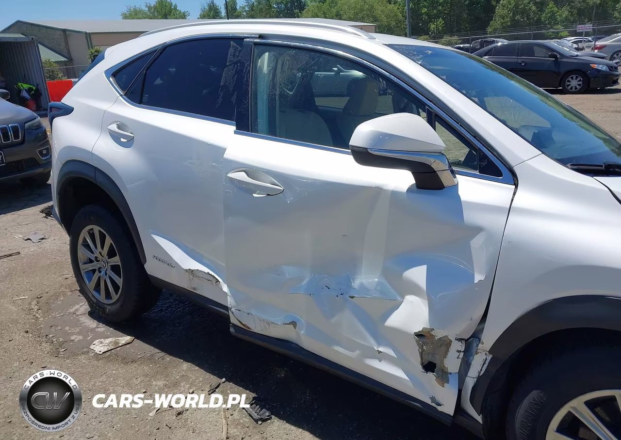 2018 Lexus Nx 300H VIN:JTJBJRBZ3J2090687 - 19