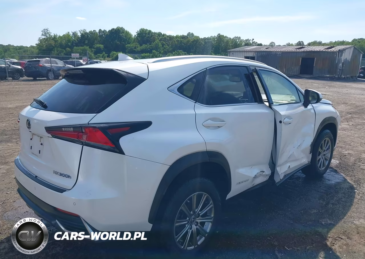 2018 Lexus Nx 300H VIN:JTJBJRBZ3J2090687 - 4