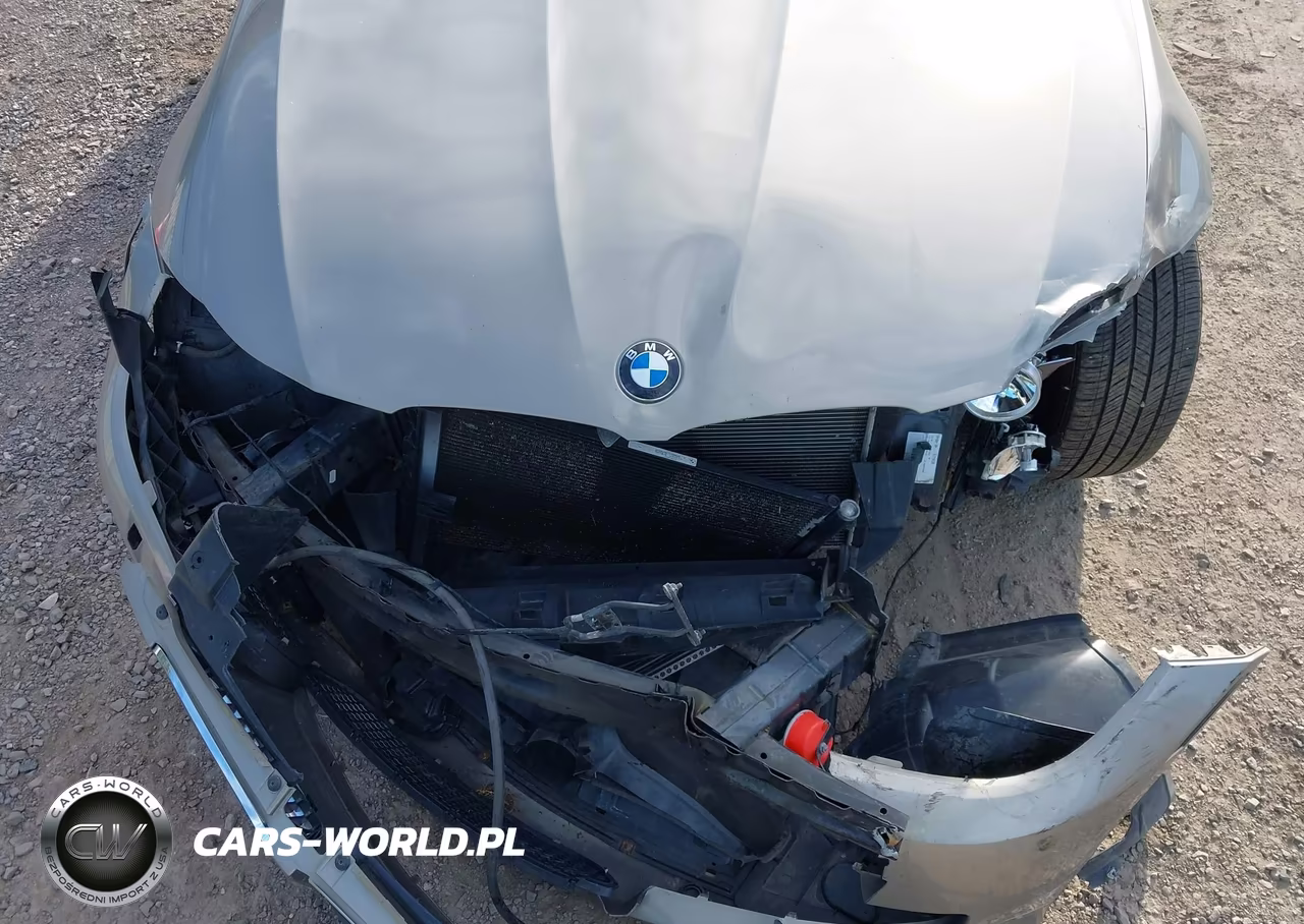 2009 BMW 328I xDrive VIN:WBAPK73529A451914 - 19