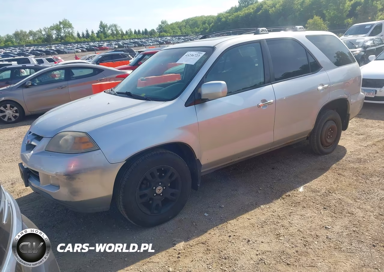 2006 Acura Mdx VIN:2HNYD18876H549832 - 2