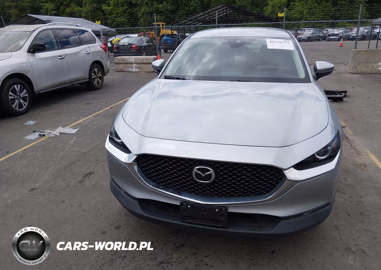 2020 Mazda Cx-30 VIN:3MVDMBBL7LM134819 - 13