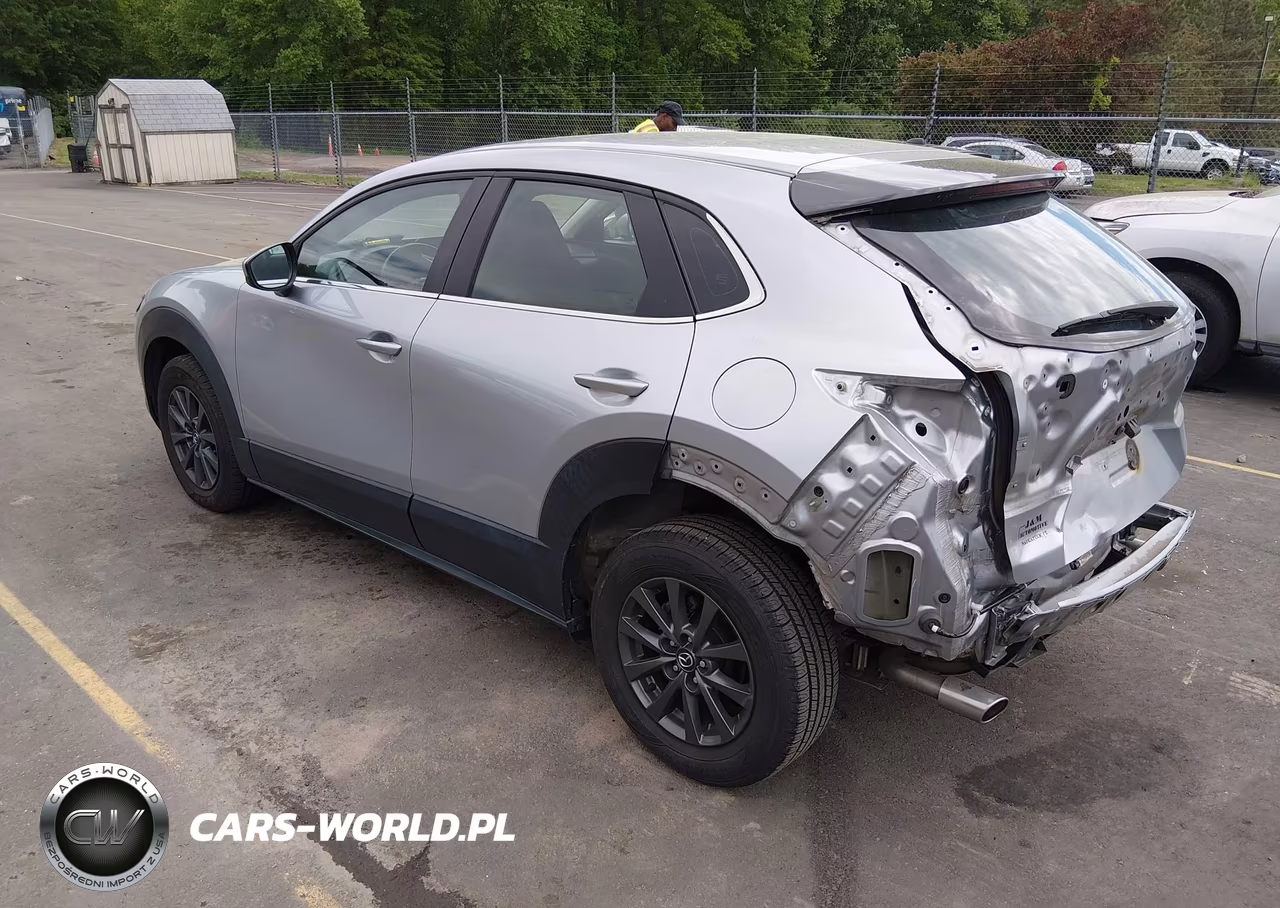 2020 Mazda Cx-30 VIN:3MVDMBBL7LM134819 - 3