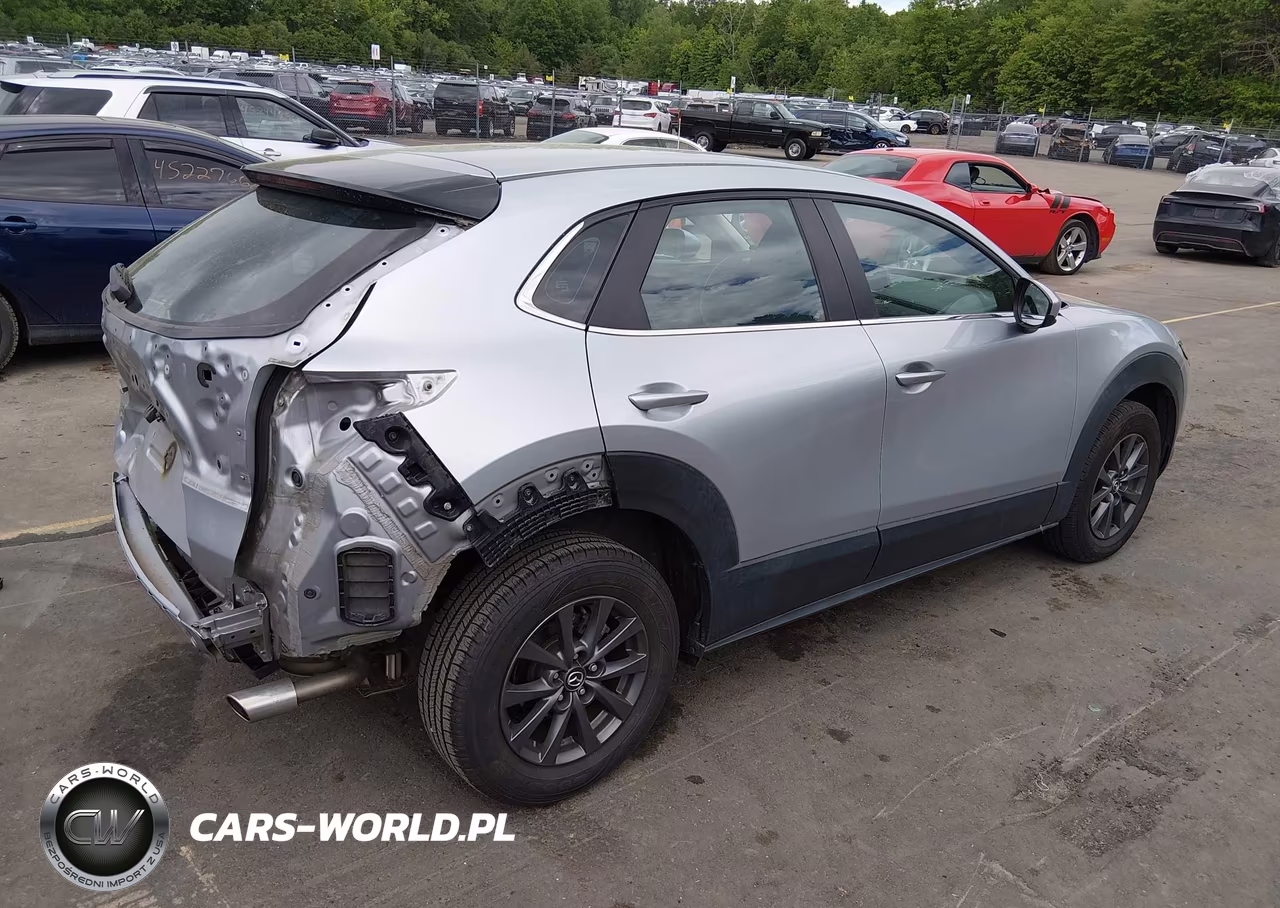 2020 Mazda Cx-30 VIN:3MVDMBBL7LM134819 - 4