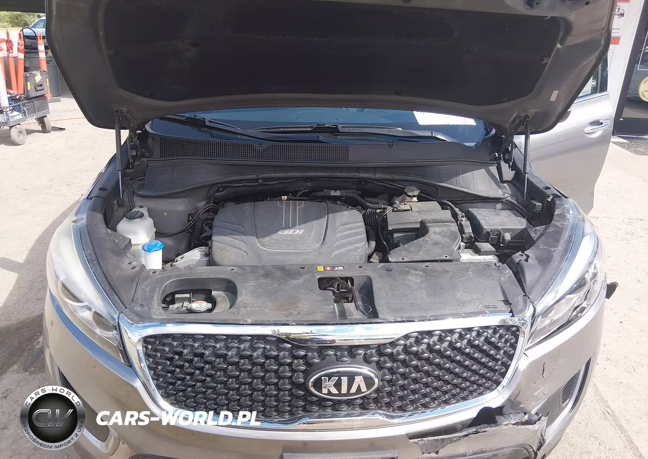 2017 Kia Sorento 3.3L Lx VIN:5XYPGDA50HG291617 - 10