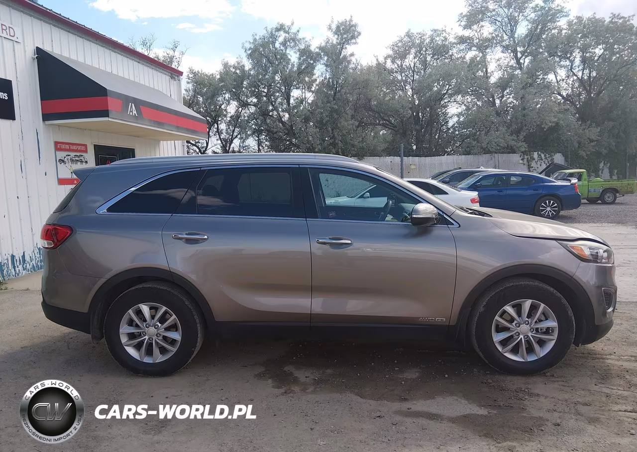 2017 Kia Sorento 3.3L Lx VIN:5XYPGDA50HG291617 - 13