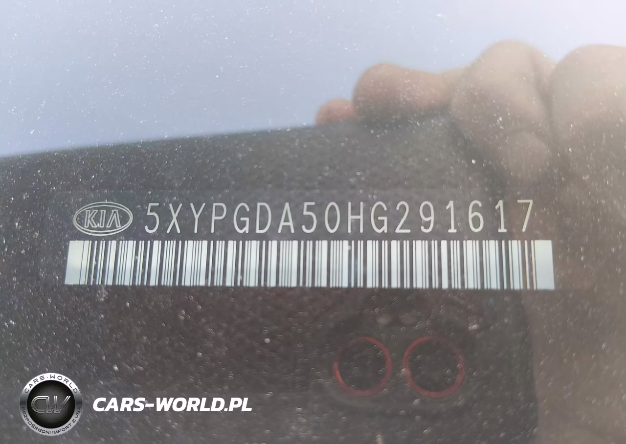 2017 Kia Sorento 3.3L Lx VIN:5XYPGDA50HG291617 - 9