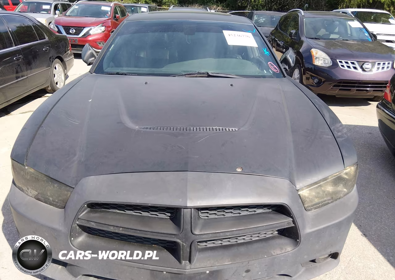 2014 Dodge Charger R-T Plus VIN:2C3CDXCT8EH121463 - 12