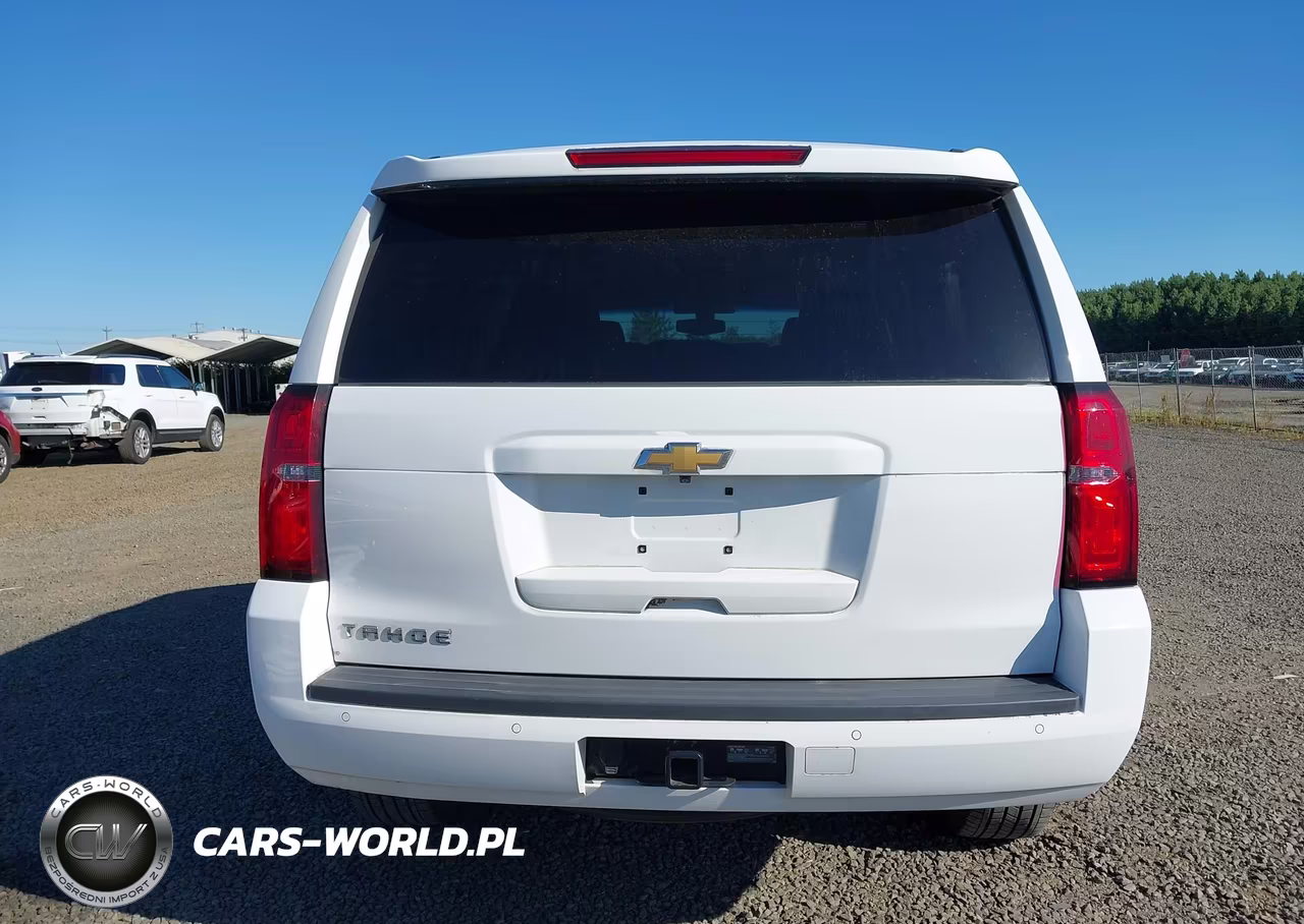 2018 Chevrolet Tahoe Ls VIN:1GNSKAECXJR333936 - 19