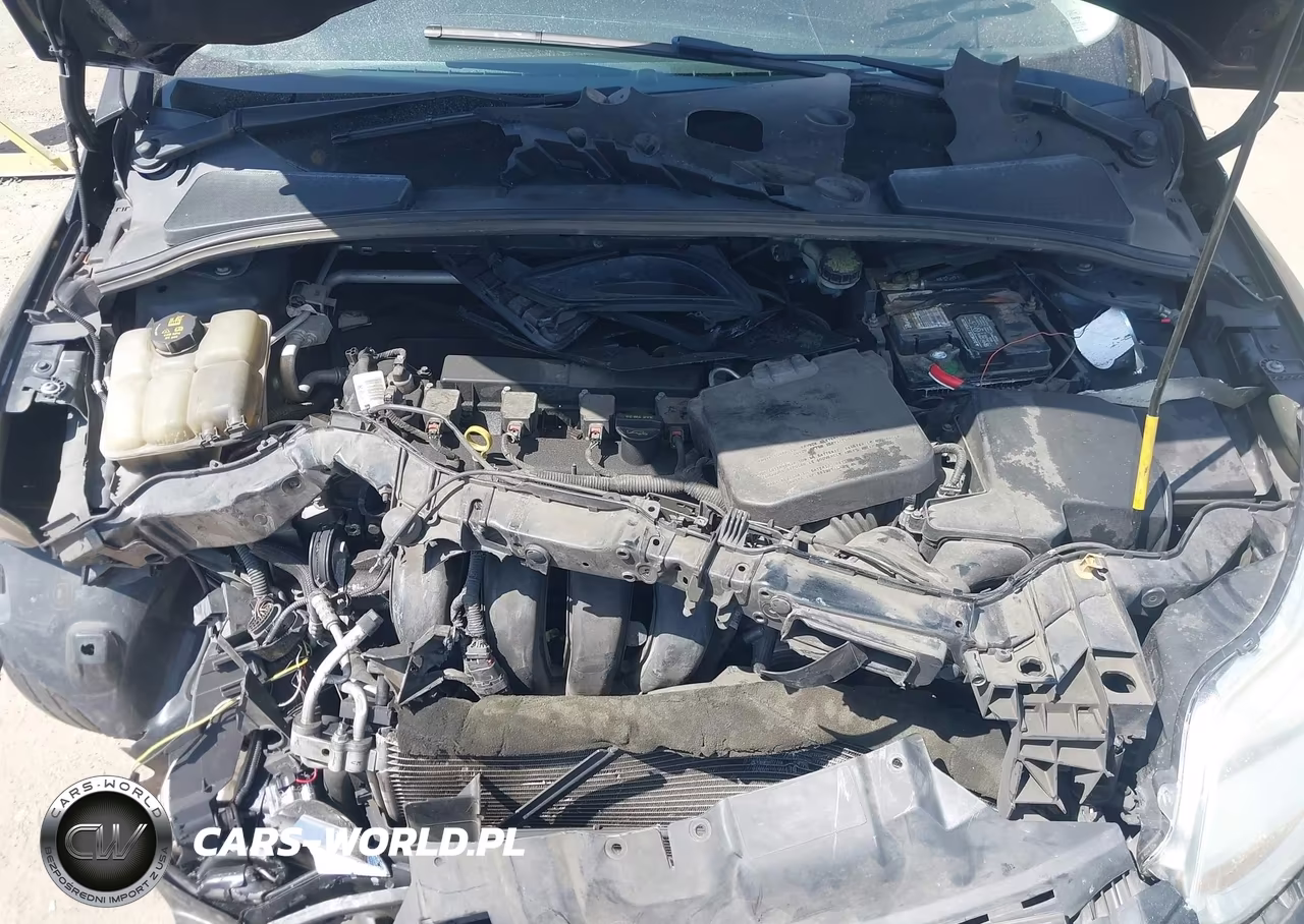2014 Ford Focus Se VIN:1FADP3K22EL247691 - 10