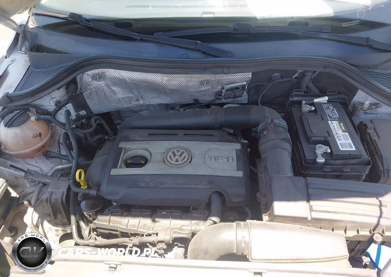 2016 Volkswagen Tiguan Se VIN:WVGAV7AX0GW585255 - 10