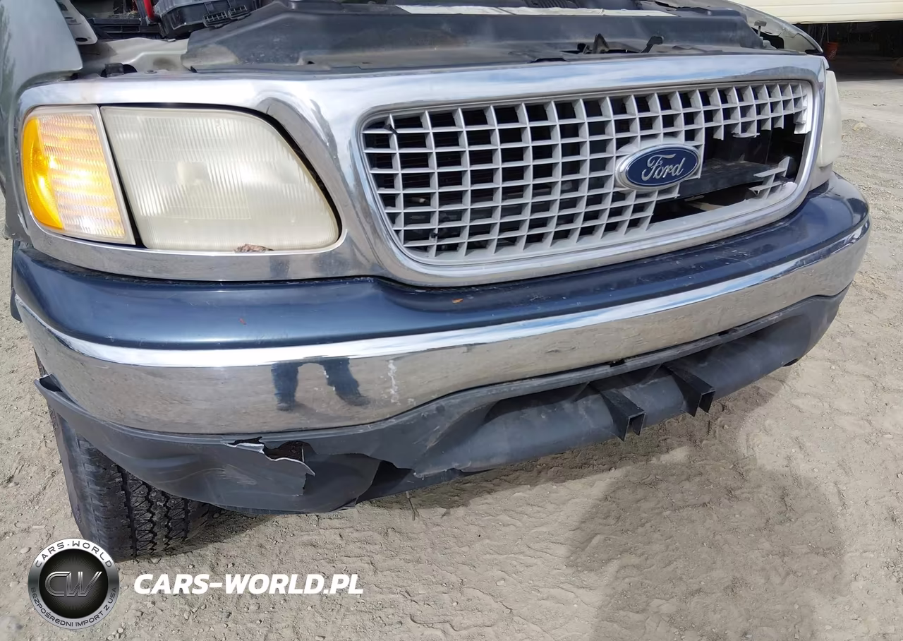 1999 Ford Expedition Eddie Bauer-Xlt VIN:1FMPU18L2XLC25385 - 6