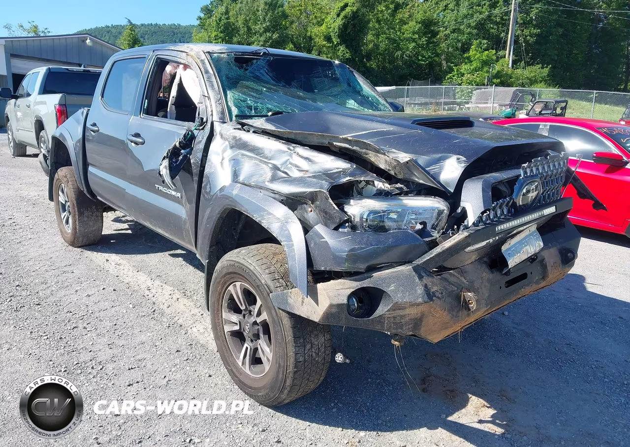 2019 Toyota Tacoma Trd Sport VIN:3TMCZ5AN0KM258304 - 12