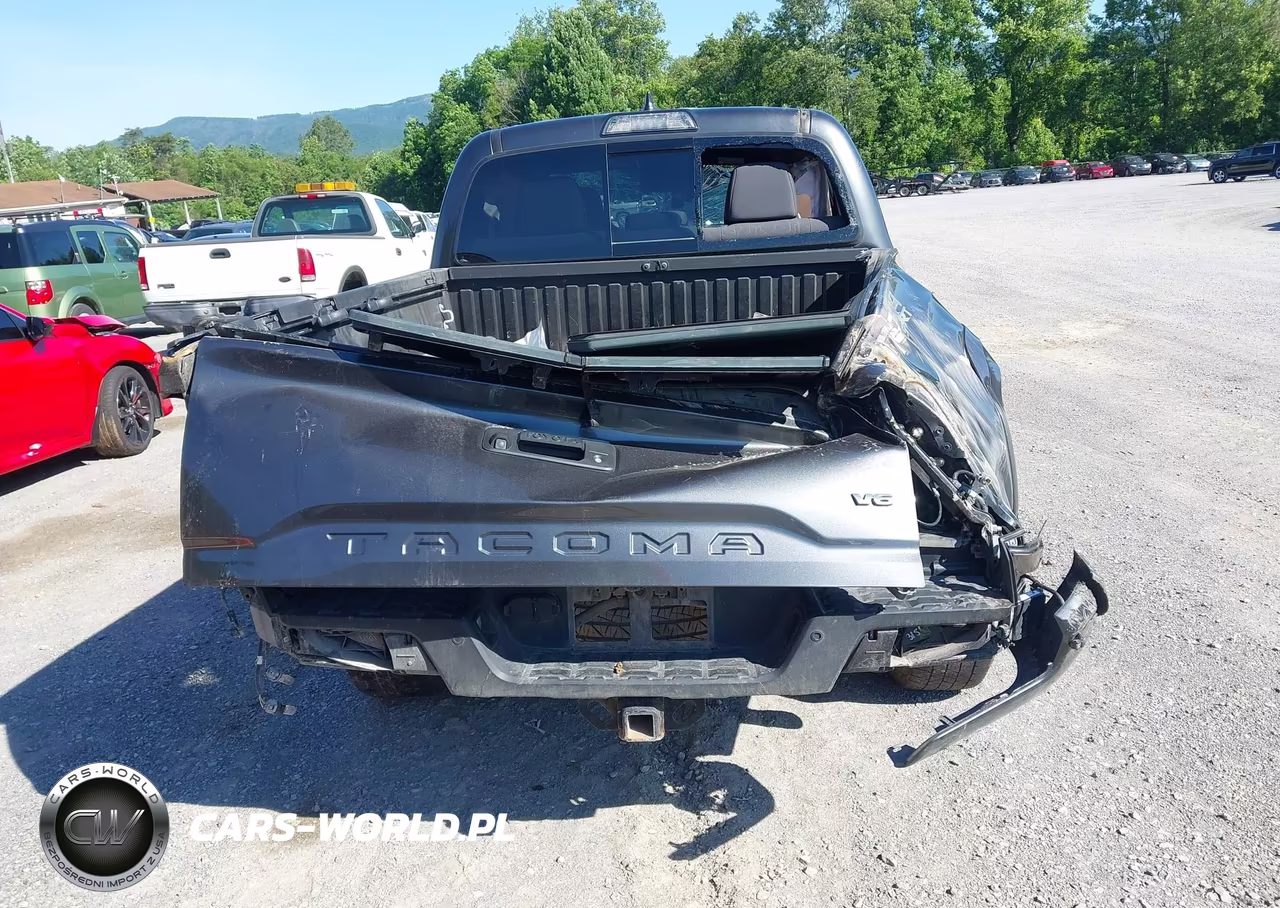 2019 Toyota Tacoma Trd Sport VIN:3TMCZ5AN0KM258304 - 17