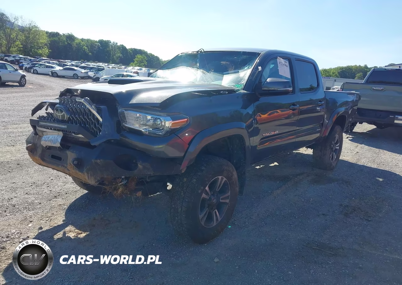 2019 Toyota Tacoma Trd Sport VIN:3TMCZ5AN0KM258304 - 2