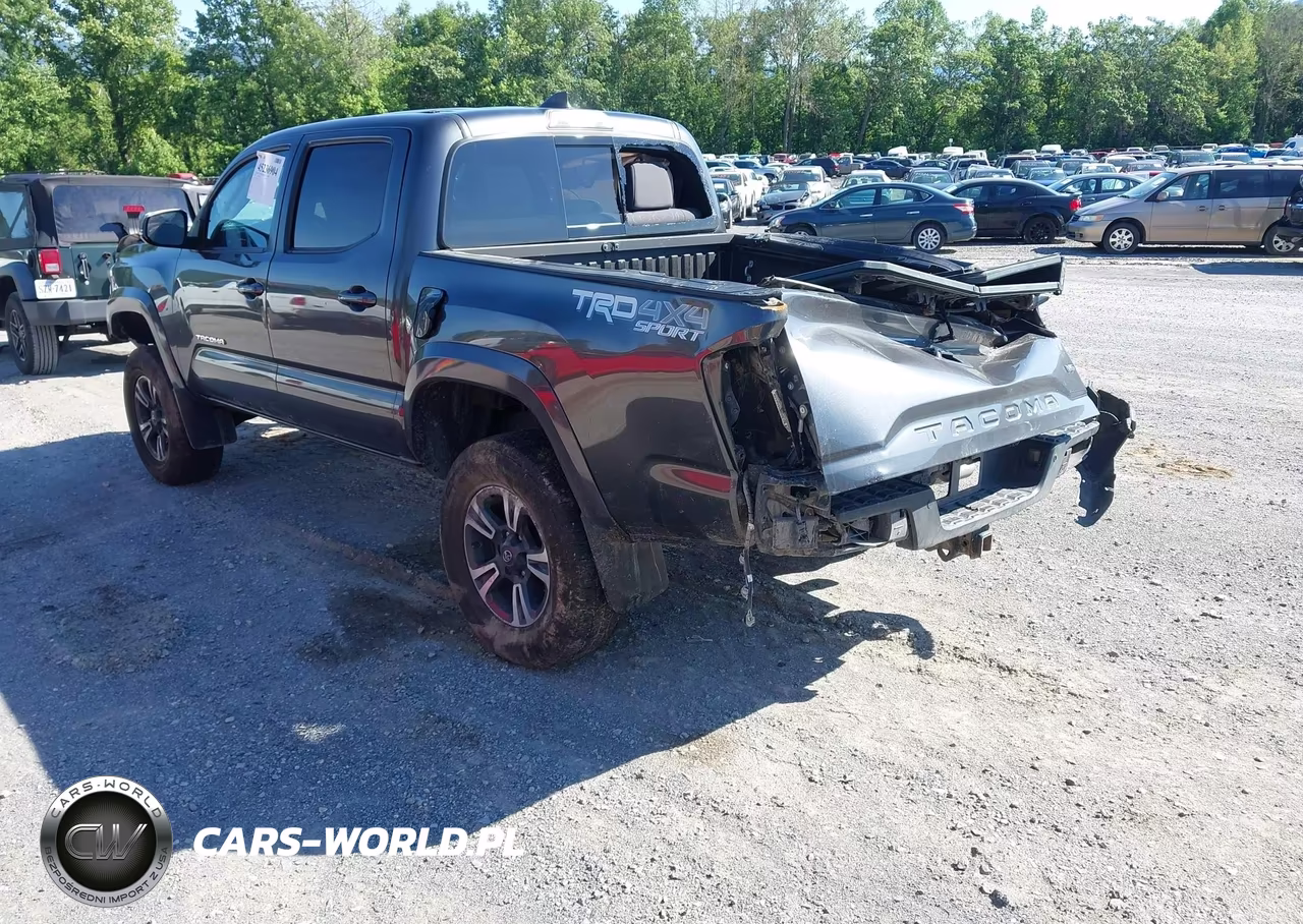 2019 Toyota Tacoma Trd Sport VIN:3TMCZ5AN0KM258304 - 3