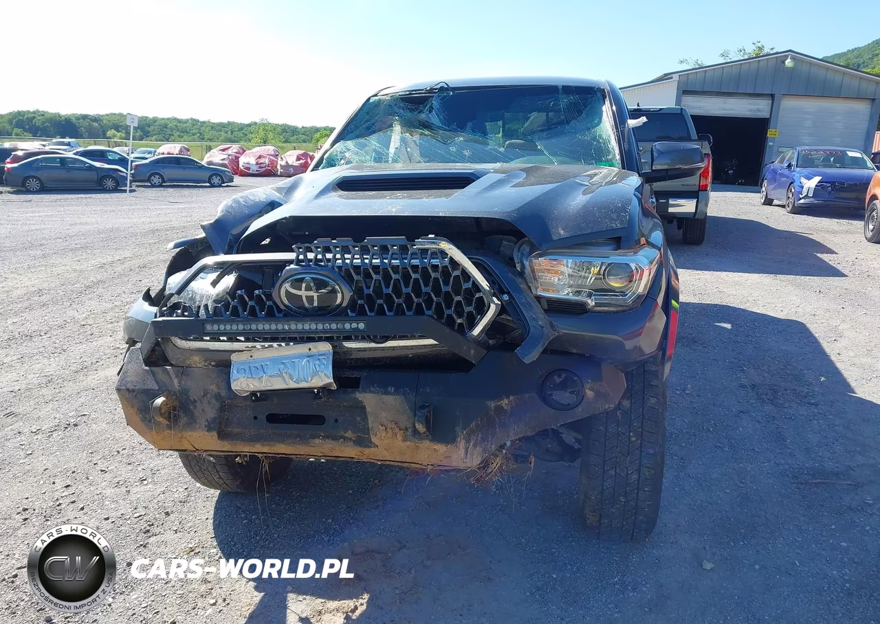 2019 Toyota Tacoma Trd Sport VIN:3TMCZ5AN0KM258304 - 6