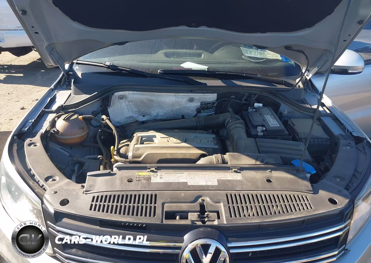2015 Volkswagen Tiguan S VIN:WVGAV7AX6FW611890 - 10