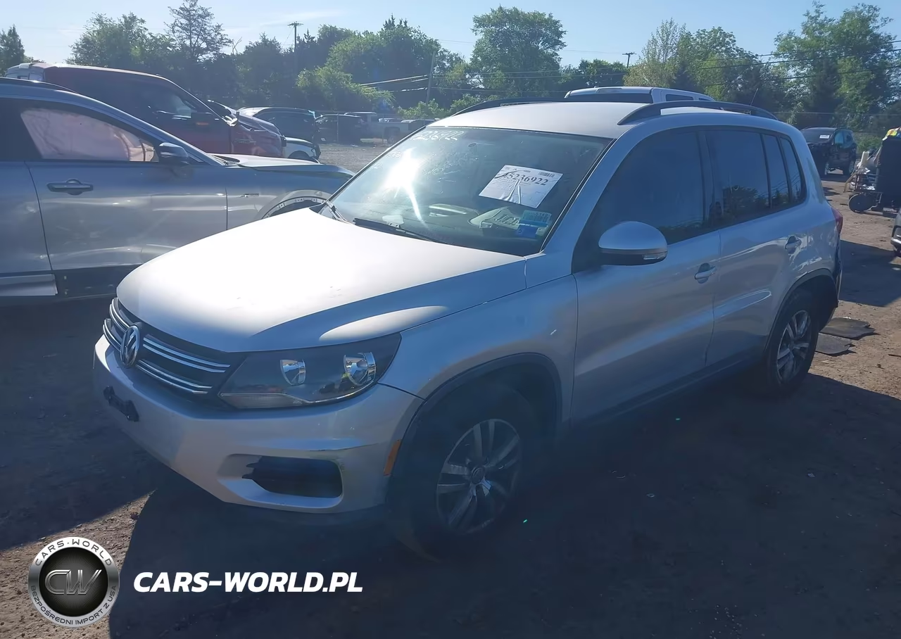 2015 Volkswagen Tiguan S VIN:WVGAV7AX6FW611890 - 2